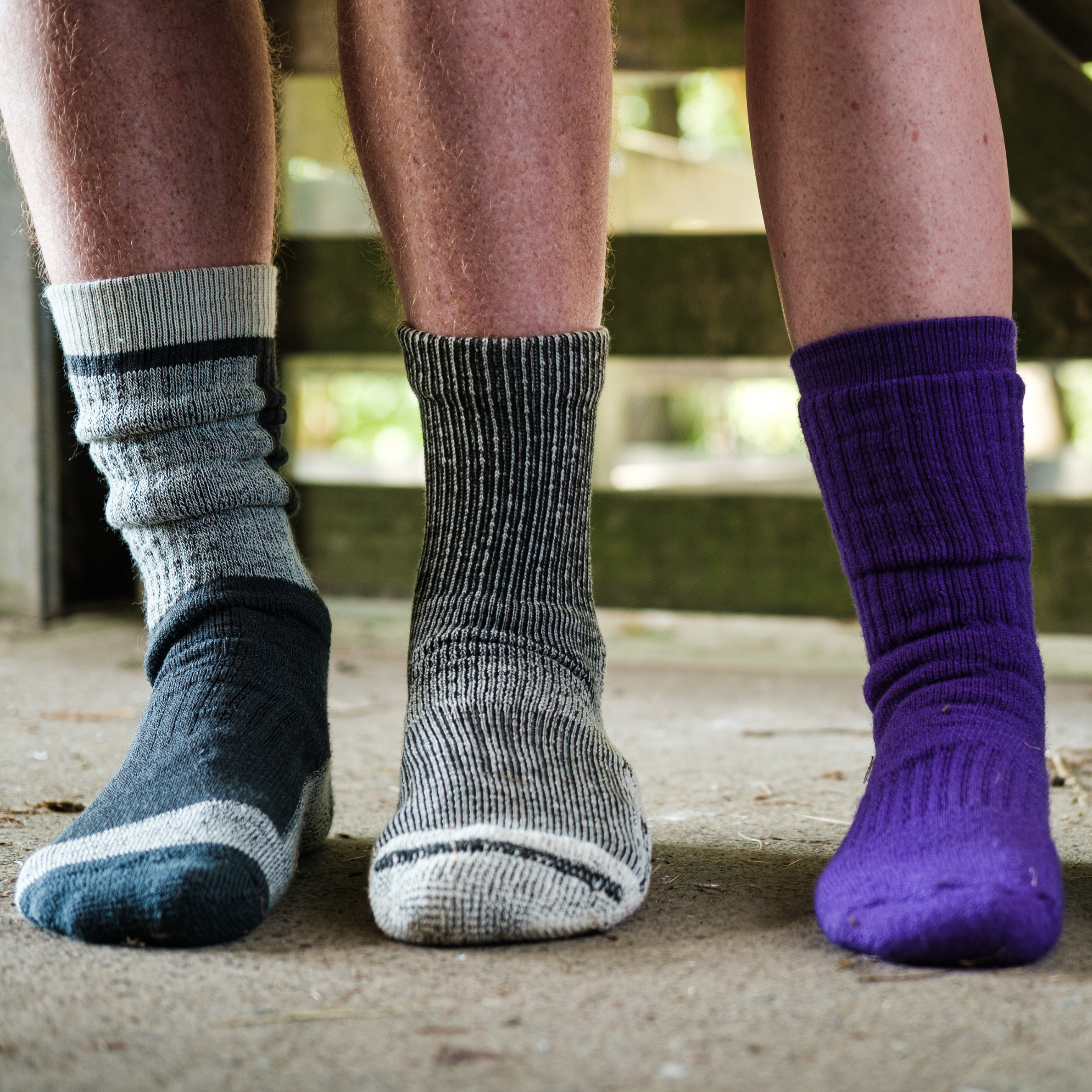 The Great Kiwi Sock Survey