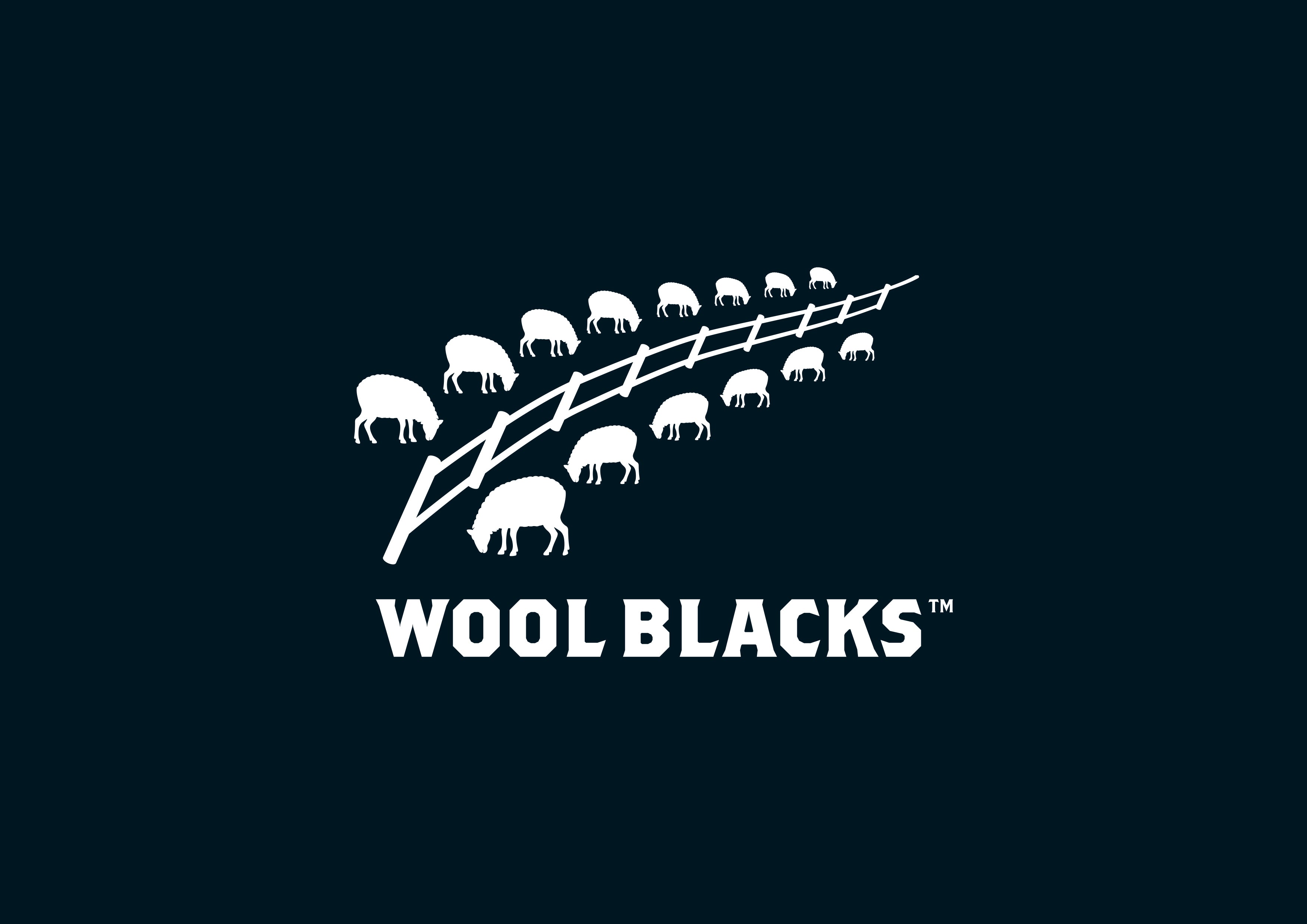 Wool Blacks Beanie - Black