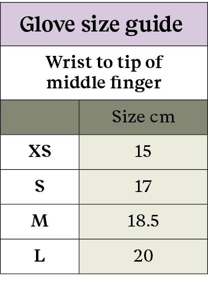 Display Image